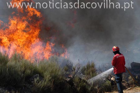 Pouca área ardida