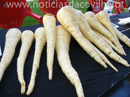 Politécnico ensina a cultivar horta