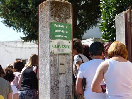 Câmara quer aproveitar edifício da Carveste