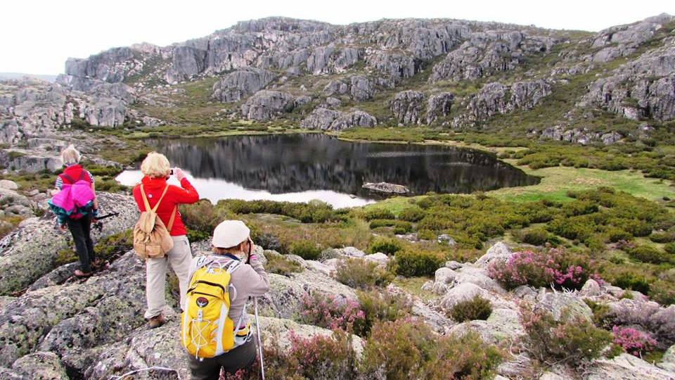 Penhas da Saúde com festa para os emigrantes